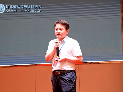 新光杯”第九届二次会员大会圆满成功，湿冷湿热焊缝处的防闪锈剂选择引发热烈反响